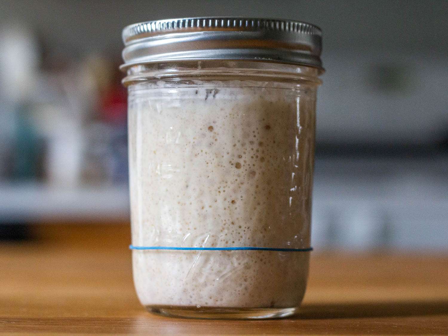 sourdough-starter-recipe